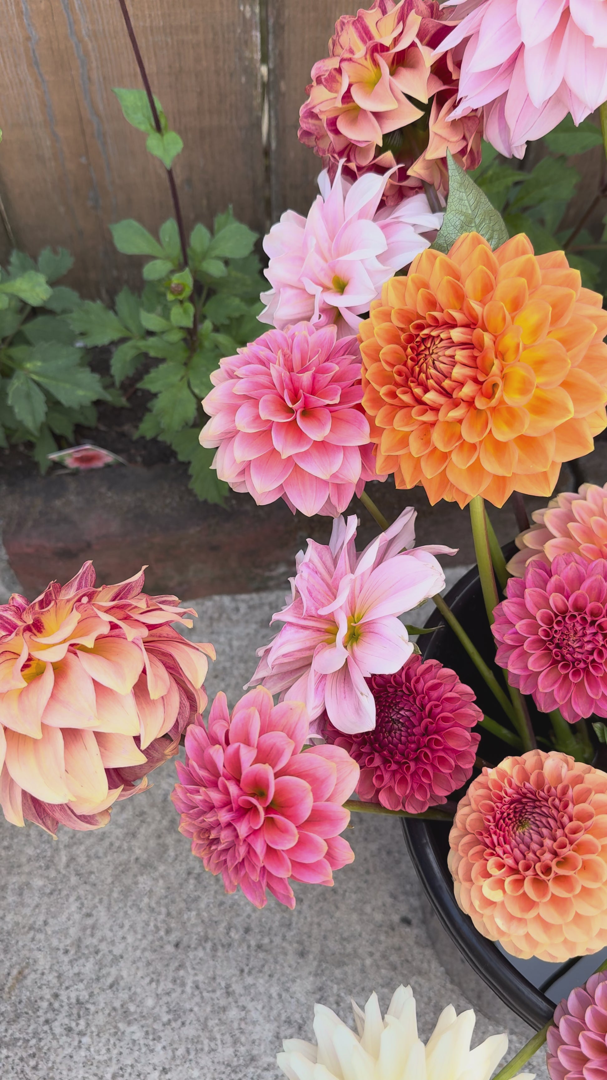 Mixed Florist's Bucket Grower's Choice